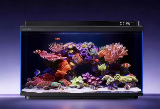 ˮ���ͳ�μ�����������2S Ultra�޳����� AI 3.0�����컨�彵��