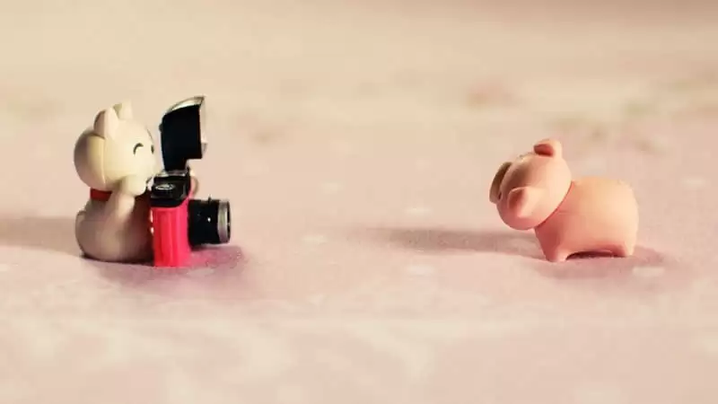 ������520����������������Ȧ�ᱻ����