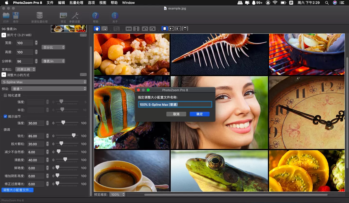 PhotoZoom Pro V8.0 MAC