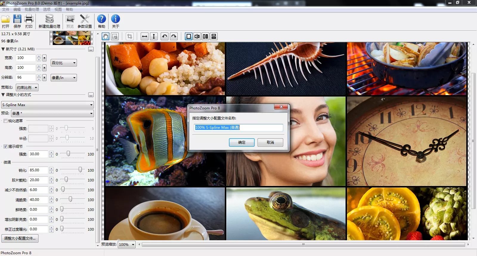 PhotoZoom Pro V8.0 ԰