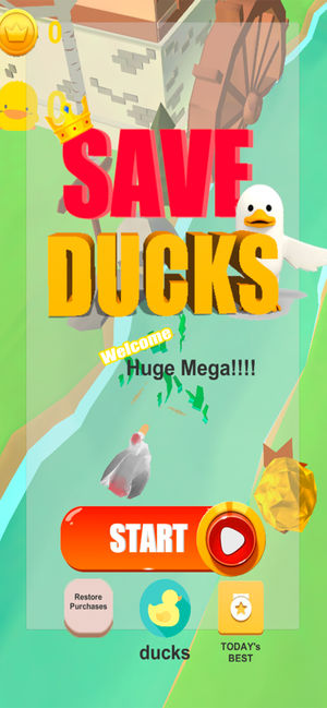 Save Ducks