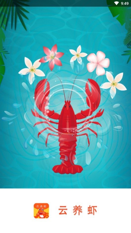 ����Ϻ V1.0 ׬Ǯ��