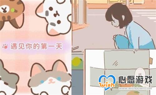 遇见你的猫猫咪获得方法介绍_wishdown.com 遇见你的猫猫咪获得方法介绍_wishdown.com