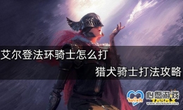 �����Ƿ�����Ȯ��ʿ�򷨹���