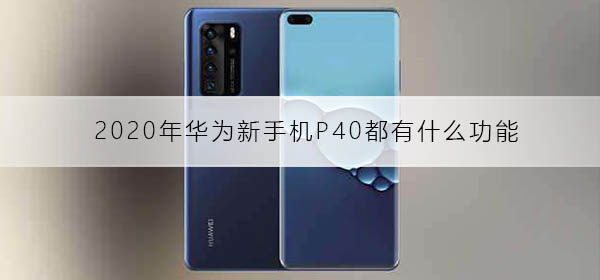 2020껪ΪֻP40ʲô