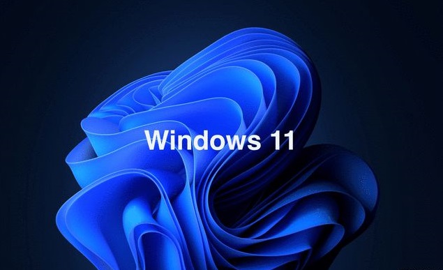 win11ʲô¹ϸ