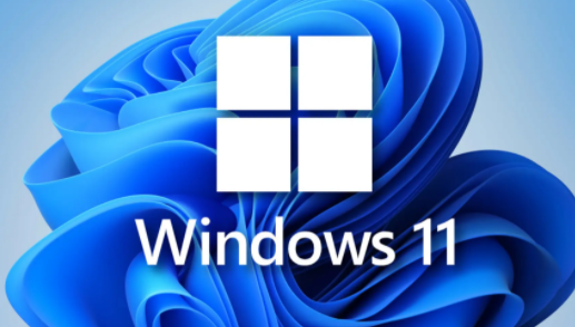 win11רҵüԿ