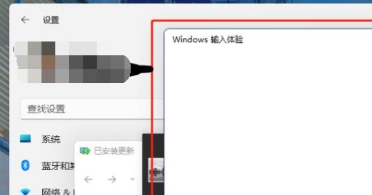 win11رս̳