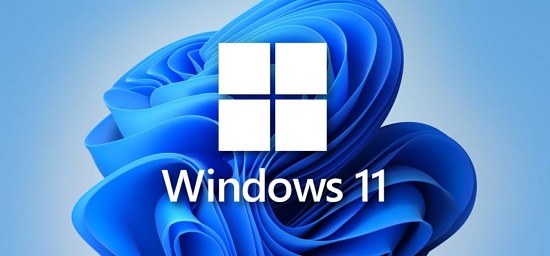 win11ͥרҵԱ