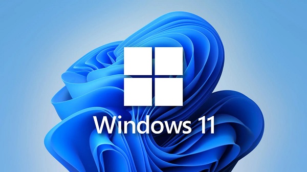 win11vbsʲô