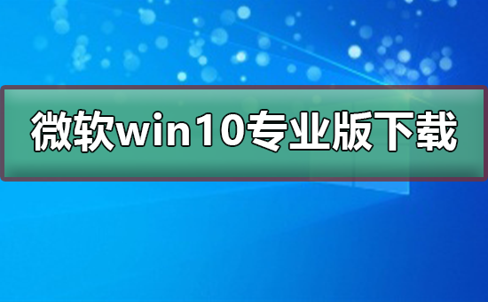 ΢win10רҵصַ