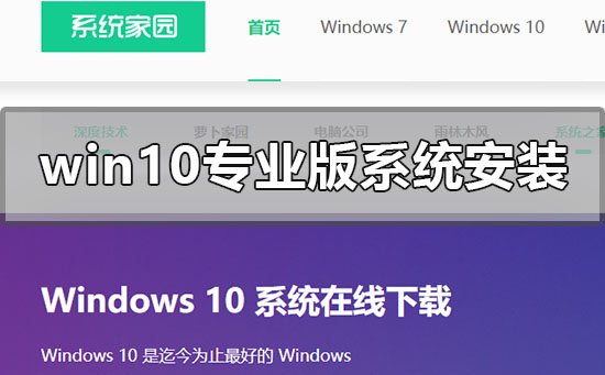 windows10רҵϵͳôװ