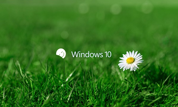 win10޷ô