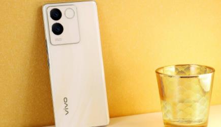 vivos17e