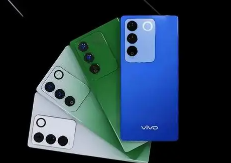 vivov29ʱ
