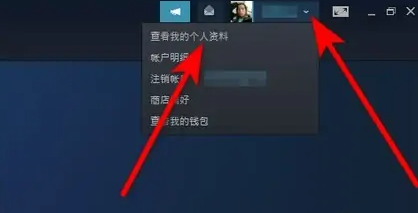 steam˺ô