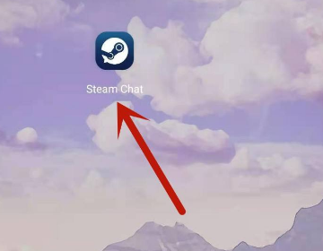 steam?chatô