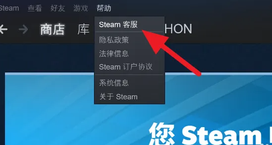 steam˺ôѯipַ