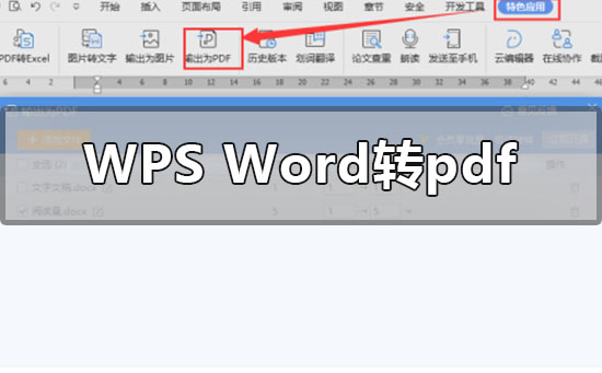 wpswordתpdfôת