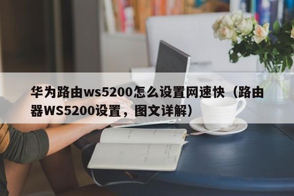 Ϊ·ws5200ôٿ