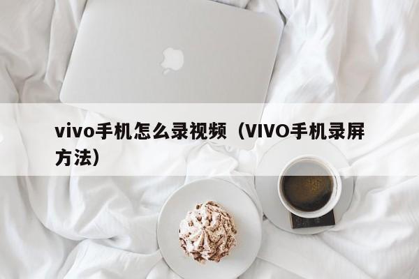 vivoֻô¼Ƶ