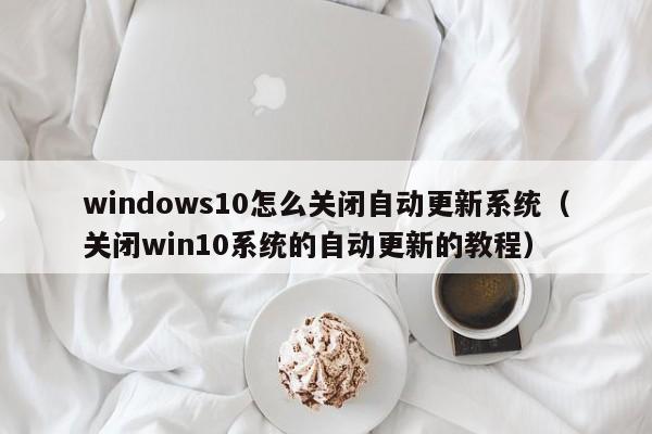 windows10ôرԶϵͳ