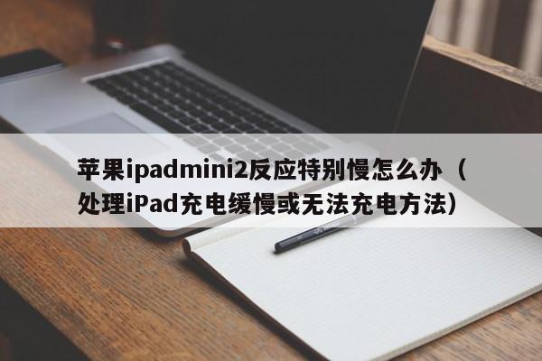 ƻipadmini2Ӧرô