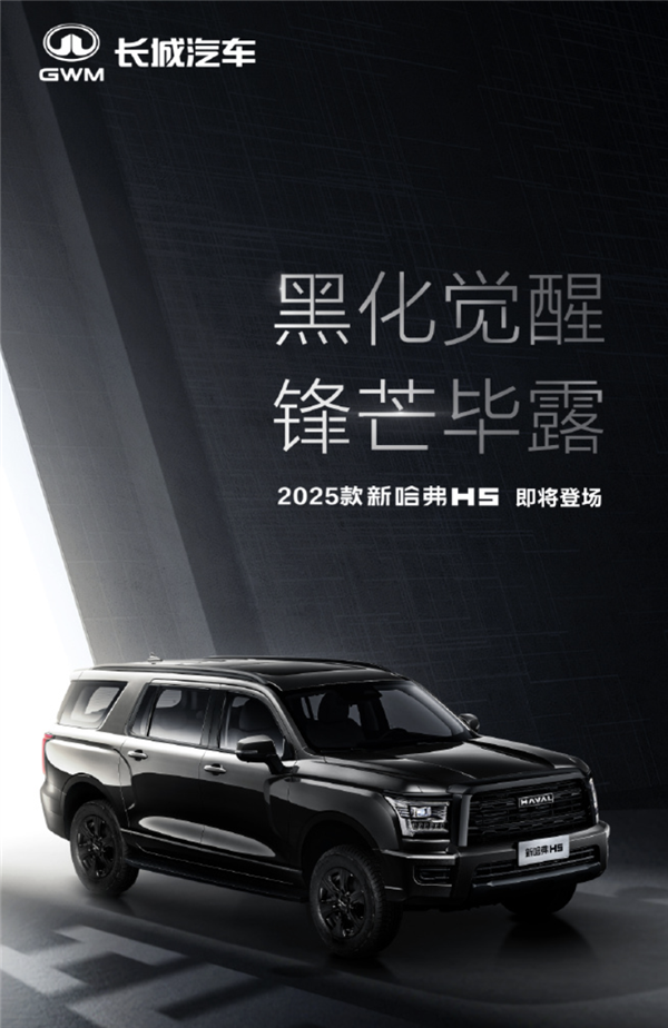 ����ʷ�����SUV��2025��H5��ͼ������ȫ���ڻ�������Ӹ�