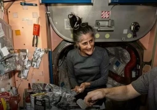 �����Ա�����ؼҵ�ϣ����SpaceX���ɴ�ȡ������� ��ȷ���·�������