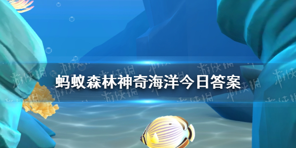 ɺȺ  溣320մ