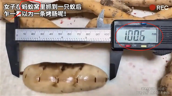 �񿾳�һ����Ů���ڵ�һֻ100���׳����Ϻ�