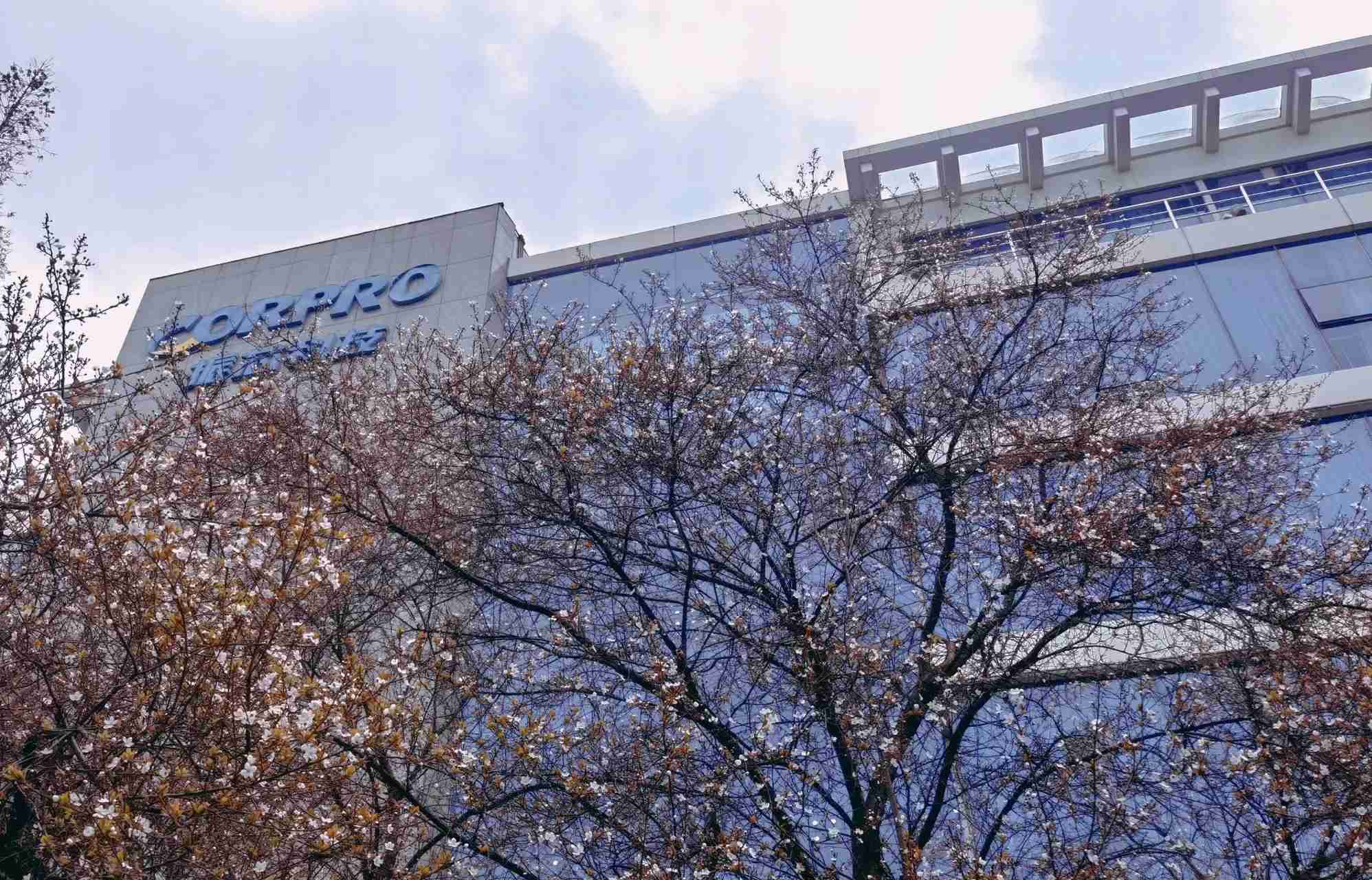 ���ɵ�·��Ʒ�۸��µ�����о�Ƽ�2024�꾻����ͬ���½�44.91%