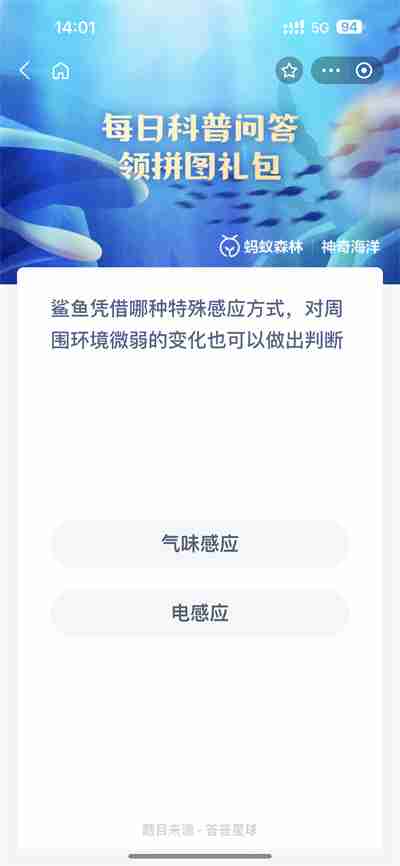 ֧溣8.24մʲô