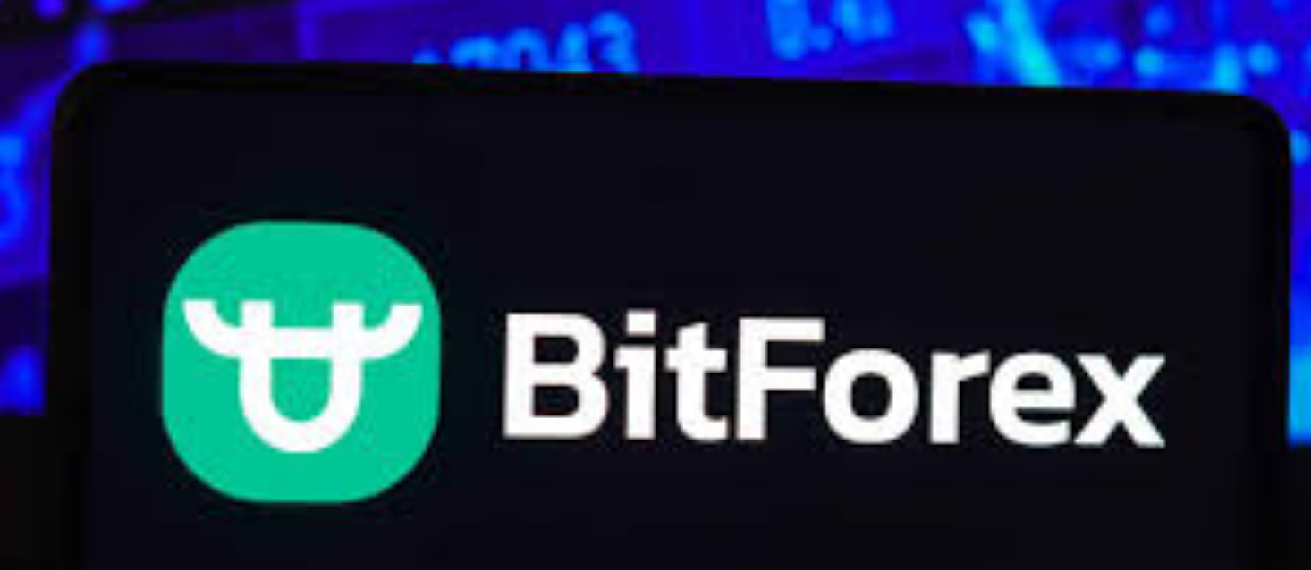 BitForexµ¼ָϣȫʽ̳