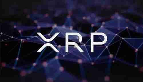 XRP⣺Ͷǰ