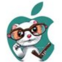 FERRET�۸��������