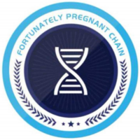 XYCC�����������۸��������