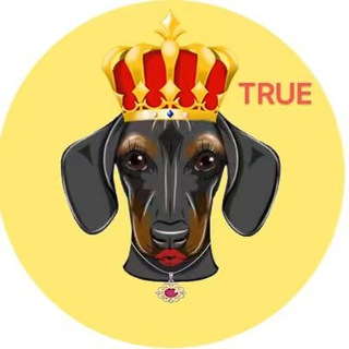 DOGEQUEEN�۸��������