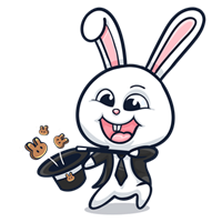 BUNNYCAKE�۸��������