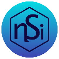 NSI�۸��������