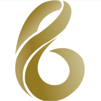 BICA�۸��������