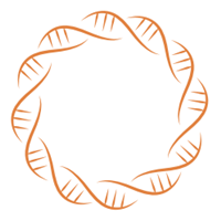 NKGEN�۸��������