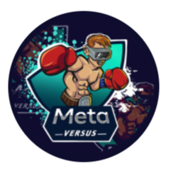 METAVS�۸��������