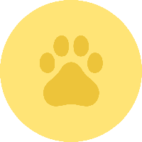 DXCT�۸��������