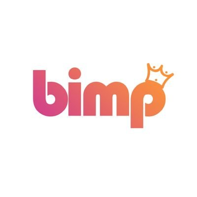BIMP�۸��������