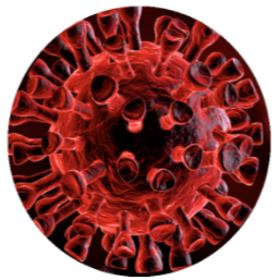 COVID���������۸��������