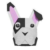 BDOG�۸��������