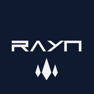 RAYN�۸��������