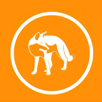 FOOX�۸��������