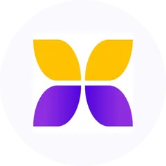 DDMI�۸��������